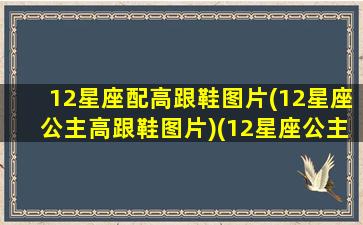 12星座配高跟鞋图片(12星座公主高跟鞋图片)(12星座公主高跟鞋是什么样的e, 中国式)